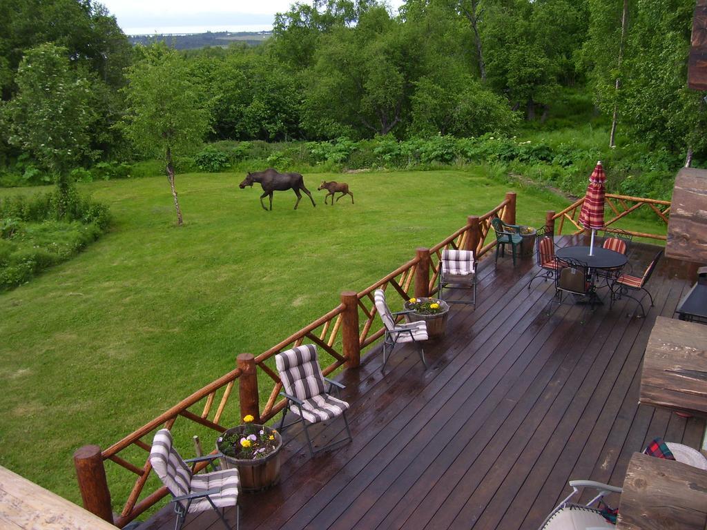 Juneberry Lodge Homer Esterno foto