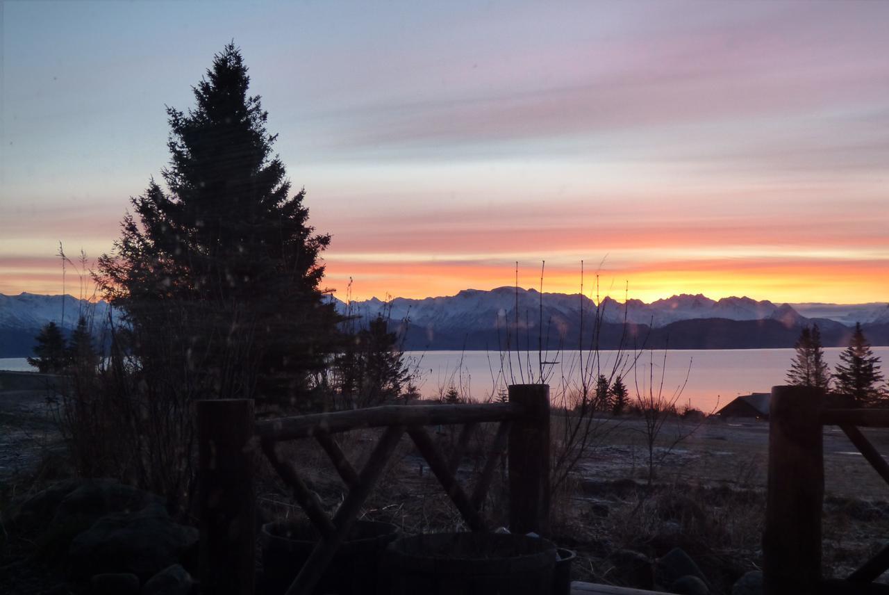 Juneberry Lodge Homer Esterno foto