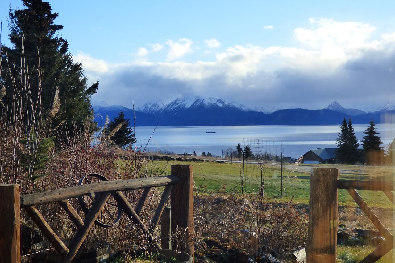 Juneberry Lodge Homer Esterno foto