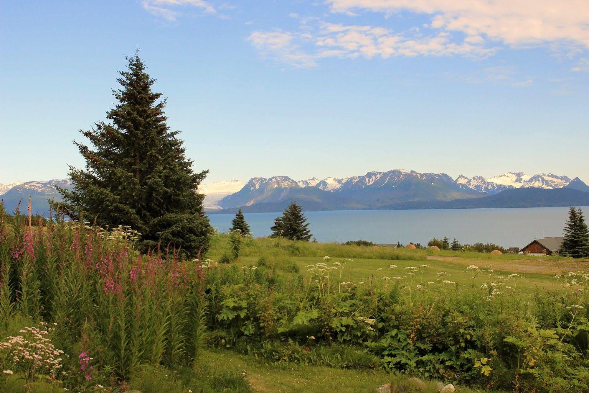 Juneberry Lodge Homer Esterno foto